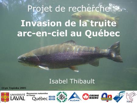 Projet de recherche Invasion de la truite arc-en-ciel au Québec