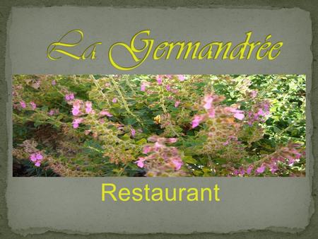 Restaurant. Christian Schweiger Artisan Culinaire.