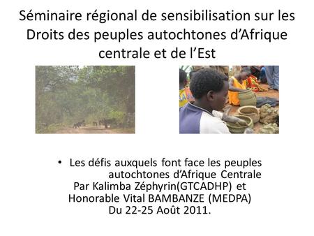 Séminaire régional de sensibilisation sur les Droits des peuples autochtones dAfrique centrale et de lEst Les défis auxquels font face les peuples autochtones.