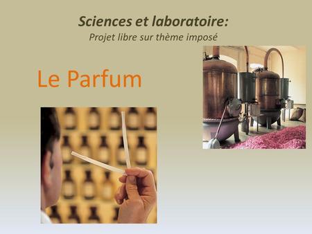 Sciences et laboratoire: Projet libre sur thème imposé