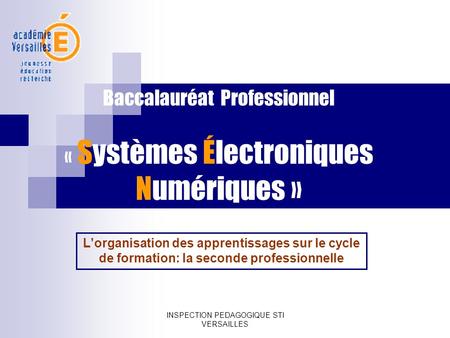 Baccalauréat Professionnel « Systèmes Électroniques Numériques »