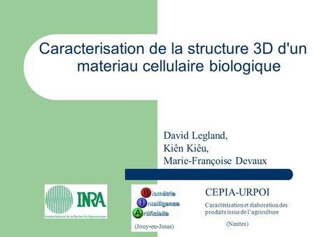 Caracterisation de la structure 3D d'un materiau cellulaire biologique CEPIA-URPOI Caractérisation et élaboration des produits issus de lagriculture (Jouy-en-Josas)