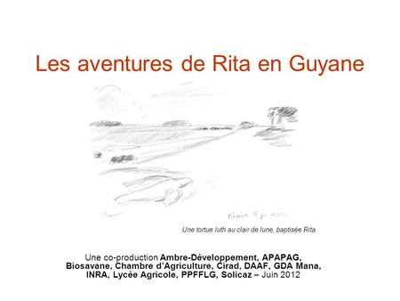 Les aventures de Rita en Guyane