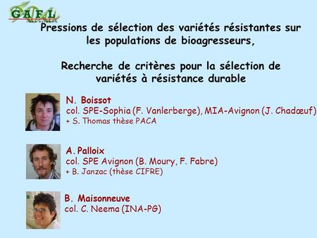 Pressions de sélection des variétés résistantes sur les populations de bioagresseurs, Recherche de critères pour la sélection de variétés à résistance.