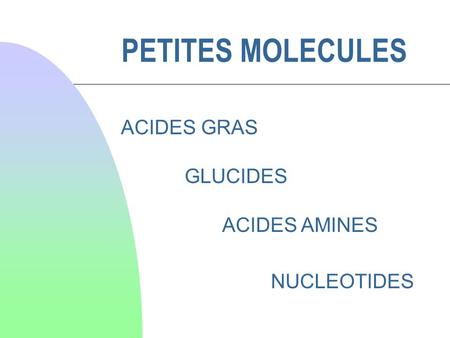 PETITES MOLECULES ACIDES GRAS GLUCIDES ACIDES AMINES NUCLEOTIDES.