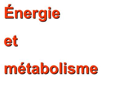 Énergie et métabolisme.