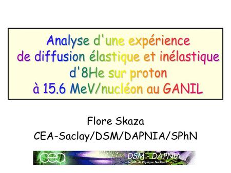 Flore Skaza CEA-Saclay/DSM/DAPNIA/SPhN