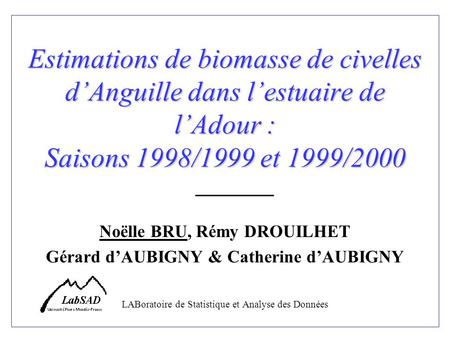 Estimations de biomasse de civelles dAnguille dans lestuaire de lAdour : Saisons 1998/1999 et 1999/2000 Noëlle BRU, Rémy DROUILHET Gérard dAUBIGNY & Catherine.