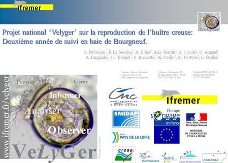 Projet national ‘Velyger’ sur la reproduction de l’huître creuse: Deuxième année de suivi en baie de Bourgneuf. S. Pouvreau1, P. Le Souchu1, B. Hitier2,
