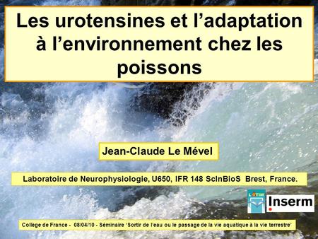 Les urotensines et l’adaptation à l’environnement chez les poissons
