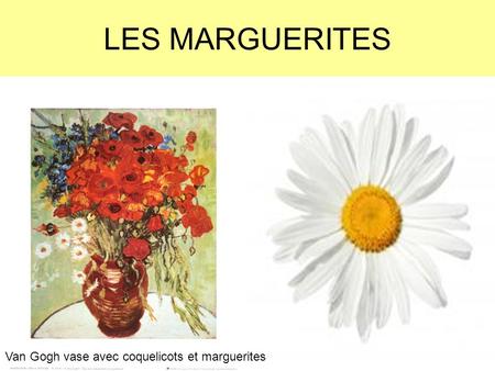 LES MARGUERITES Van Gogh vase avec coquelicots et marguerites.