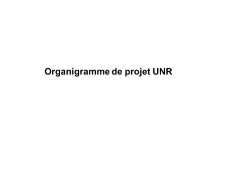 Organigramme de projet UNR