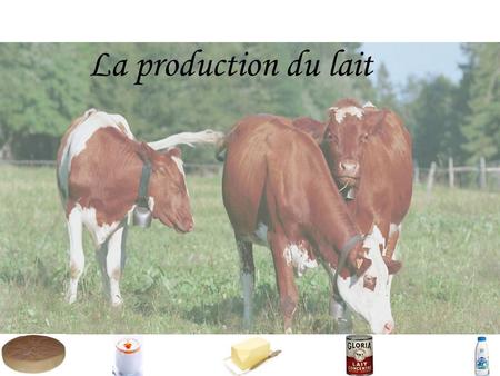 La production du lait.