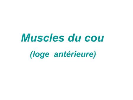 Muscles du cou (loge antérieure).