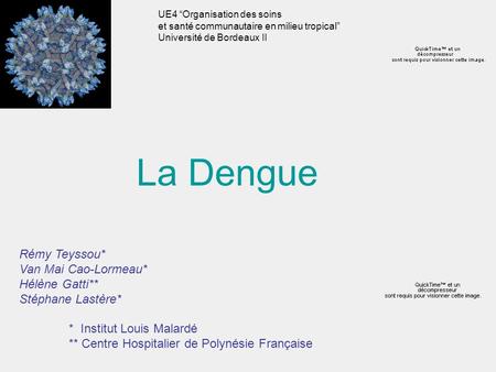 La Dengue Rémy Teyssou* Van Mai Cao-Lormeau* Hélène Gatti**