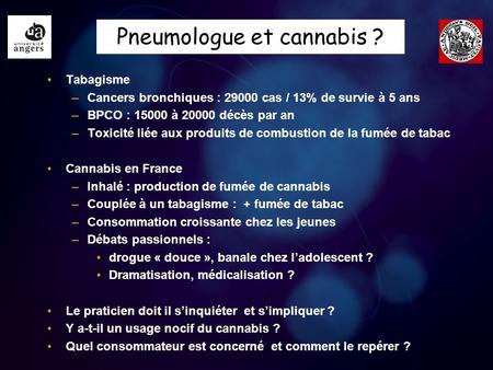 Pneumologue et cannabis ?