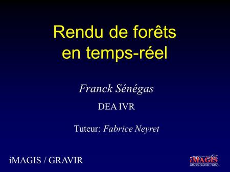 IMAGIS-GRAVIR / IMAG Rendu de forêts en temps-réel iMAGIS / GRAVIR Franck Sénégas DEA IVR Tuteur: Fabrice Neyret.