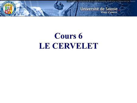 Cours 6 LE CERVELET.