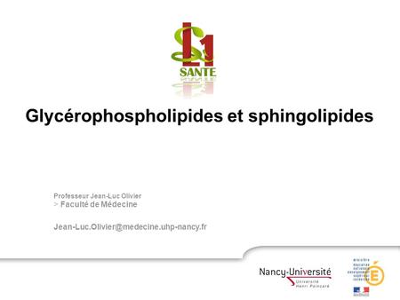 Glycérophospholipides et sphingolipides
