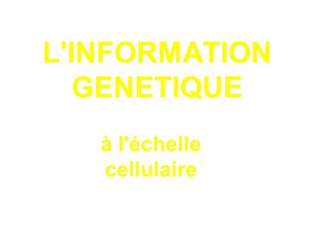 L'INFORMATION GENETIQUE