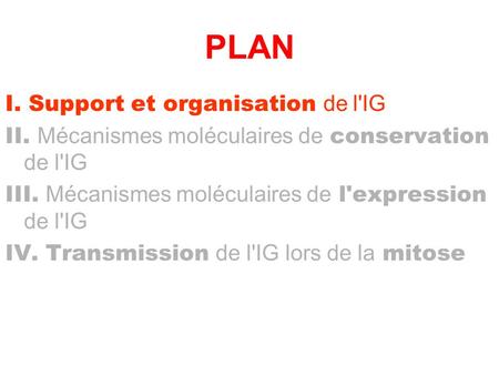 PLAN I. Support et organisation de l'IG