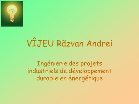 VÎJEU Rãzvan Andrei Ingénierie des projets industriels de développement durable en énergétique.