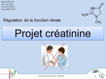 Projet créatinine Régulation de la fonction rénale Benoit GRELIER