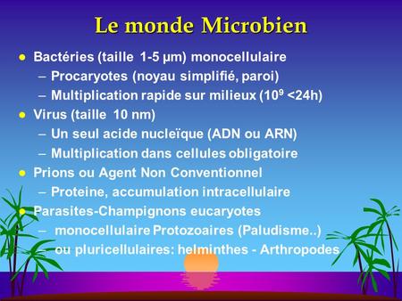 Le monde Microbien Bactéries (taille 1-5 µm) monocellulaire