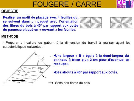 FOUGERE / CARRE OBJECTIF