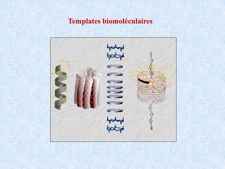 Templates biomoléculaires