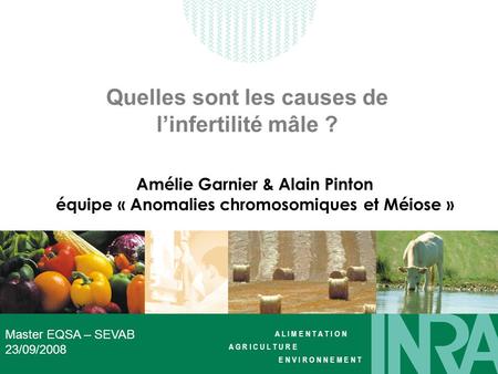 Quelles sont les causes de l’infertilité mâle ?