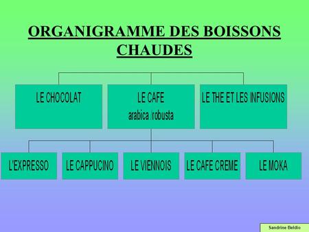 ORGANIGRAMME DES BOISSONS CHAUDES