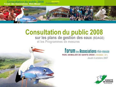 Consultation du public 2008 Forum des Associations Rhin-Meuse 4 octobre 2007 RHODES Consultation du public 2008 sur les plans de gestion des eaux (SDAGE)