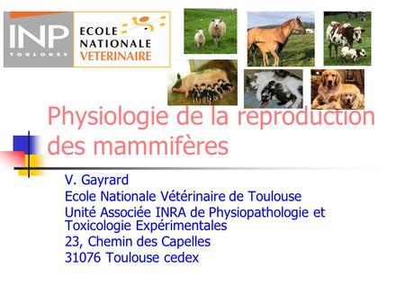 Physiologie de la reproduction des mammifères