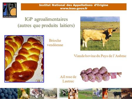IGP agroalimentaires (autres que produits laitiers)