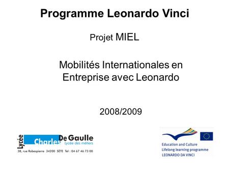 Mobilités Internationales en Entreprise avec Leonardo 2008/2009 Programme Leonardo Vinci Projet MIEL.