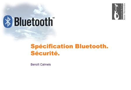 Spécification Bluetooth. Sécurité.
