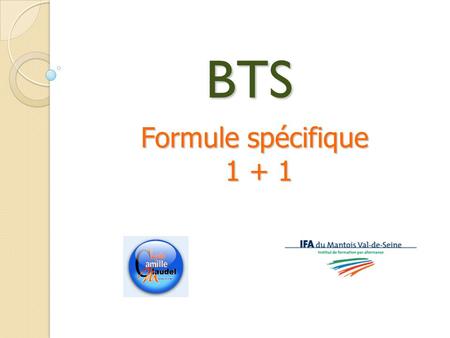 BTS Formule spécifique 1 + 1 1 + 1. Création en septembre 2004 En partenariat avec : le lycée C. Claudel de Mantes-la-Ville lInstitut de Formation par.