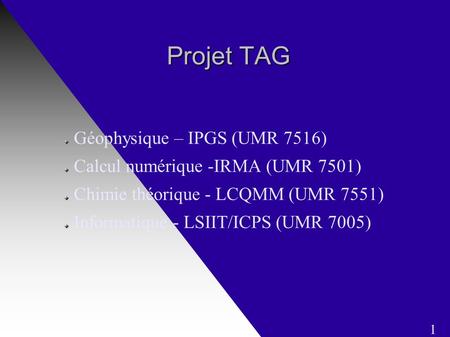 Projet TAG Projet TAG Géophysique – IPGS (UMR 7516) Calcul numérique -IRMA (UMR 7501) Chimie théorique - LCQMM (UMR 7551) Informatique - LSIIT/ICPS (UMR.