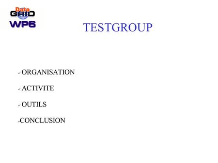 TESTGROUP ORGANISATION ACTIVITE OUTILS CONCLUSION.