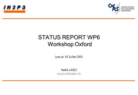 Nadia LAJILI STATUS REPORT WP6 Workshop Oxford Lyon,le 19 Juillet 2001.