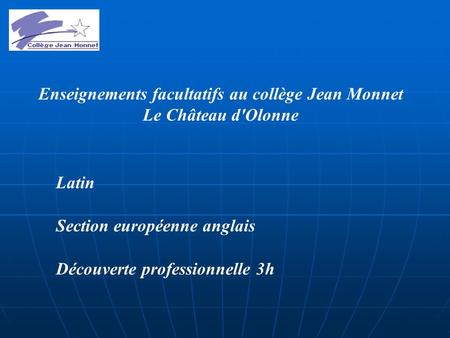 Enseignements facultatifs au collège Jean Monnet