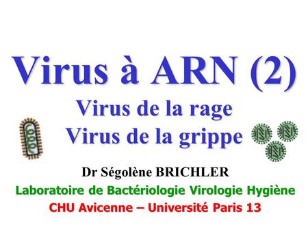 Virus à ARN (2) Virus de la rage Virus de la grippe
