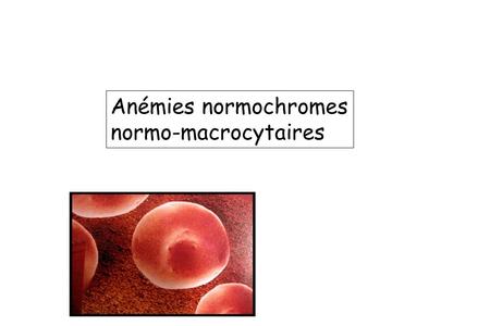 Anémies normochromes normo-macrocytaires.