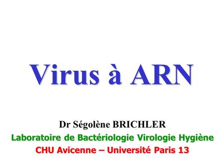 Virus à ARN Dr Ségolène BRICHLER