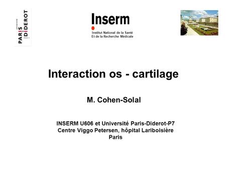 Interaction os - cartilage