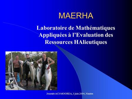 MAERHA Laboratoire de Mathématiques Appliquées à lEvaluation des Ressources HAlieutiques Journée ACI-MOOREA, 3 juin 2004, Nantes.