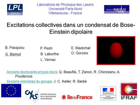 Excitations collectives dans un condensat de Bose-Einstein dipolaire