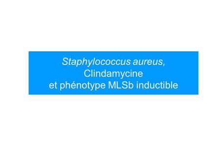 Staphylococcus aureus, Clindamycine et phénotype MLSb inductible