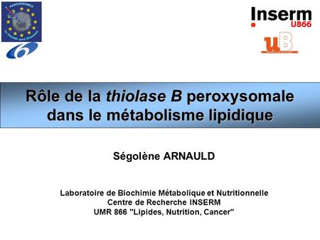 Rôle de la thiolase B peroxysomale dans le métabolisme lipidique